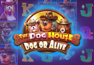 Игра The Dog House Dog Or Alive в АйсБет казино